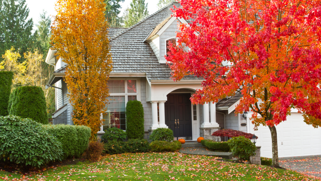 7 Reasons Why Fall is the Perfect Time to Buy a Dallas Home; Lindsay Taylor Real Estate Group; Dallas Texas Realtor; Dallas Fall Real Estate