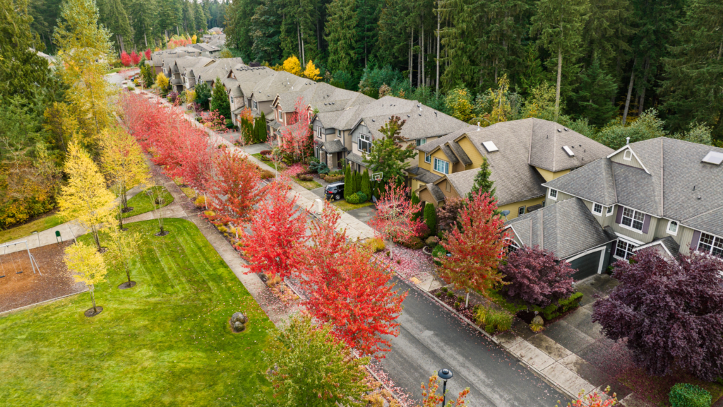 7 Reasons Why Fall is the Perfect Time to Buy a Dallas Home; Lindsay Taylor Real Estate Group; Dallas Texas Realtor; Dallas Fall Real Estate