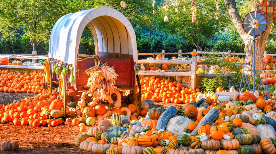 Halloween Events in the DFW Area 2024; Lindsay Taylor Real Estate Group; Dallas Texas Realtor; Dallas Real Estate Broker