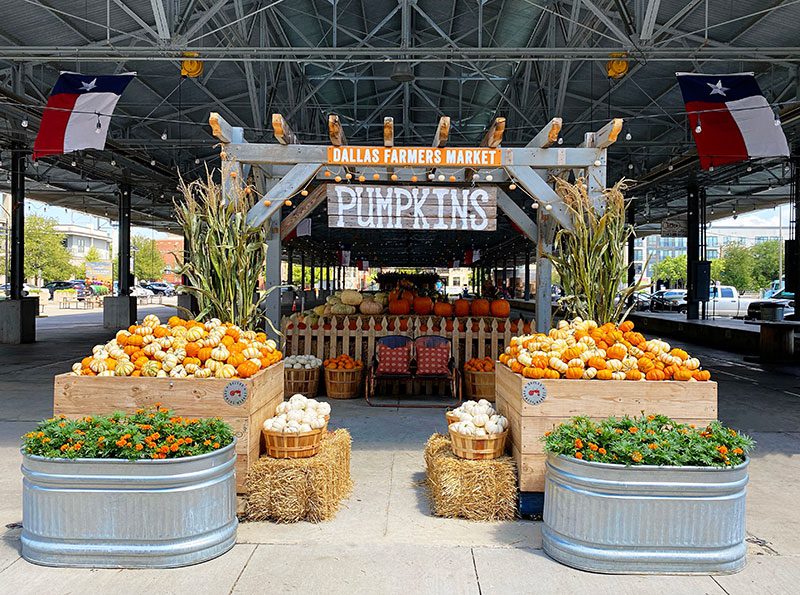 Halloween Events in the DFW Area 2024; Lindsay Taylor Real Estate Group; Dallas Texas Realtor; Dallas Real Estate Broker